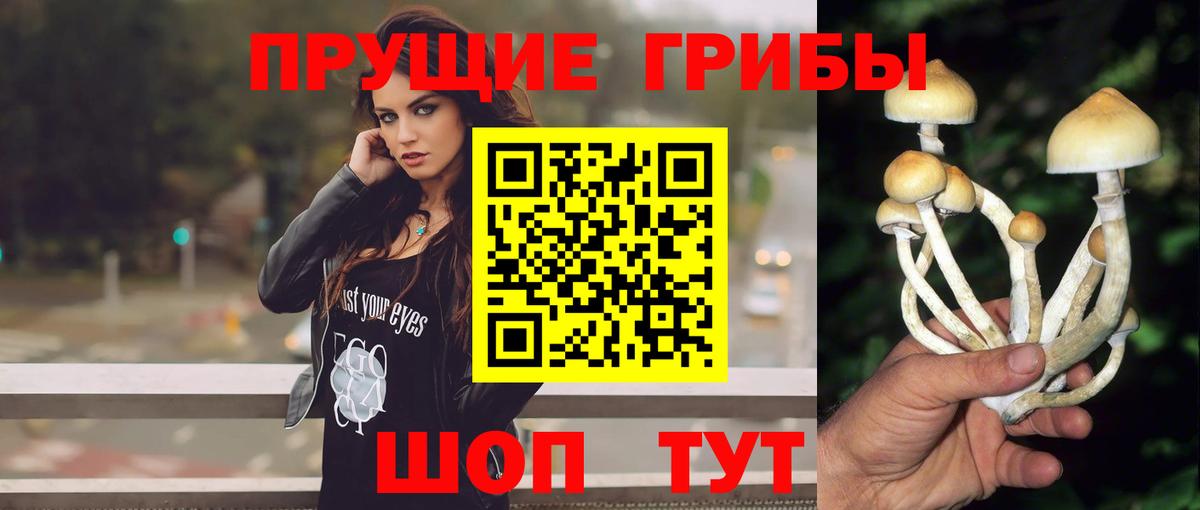 Карпинск  Псилоцибиновые грибы ЛСД  Вход с VPN 