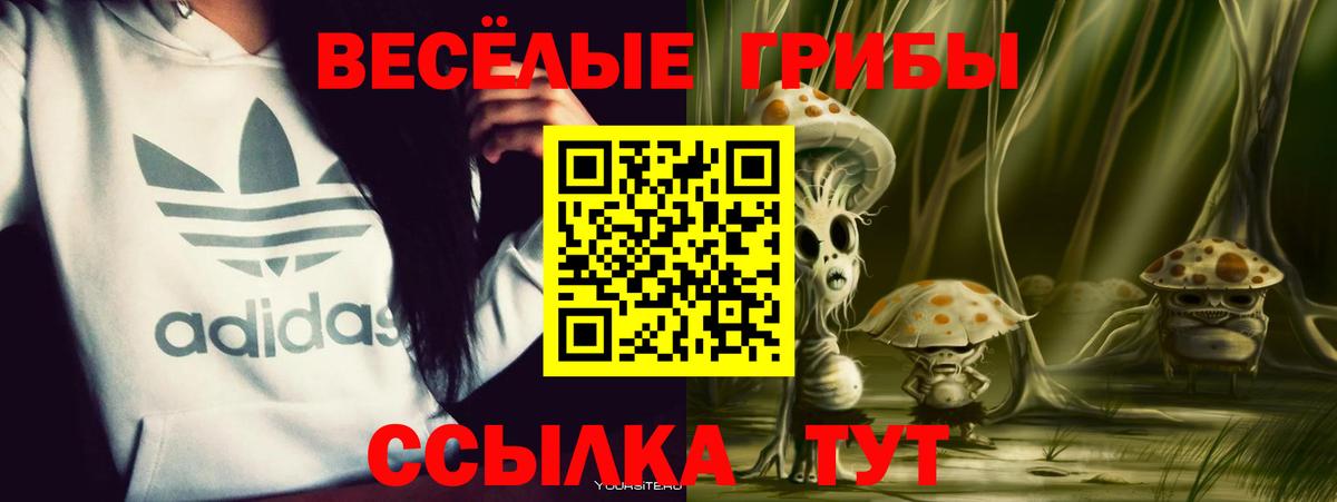 Галлюциногенные грибы мицелий Карпинск